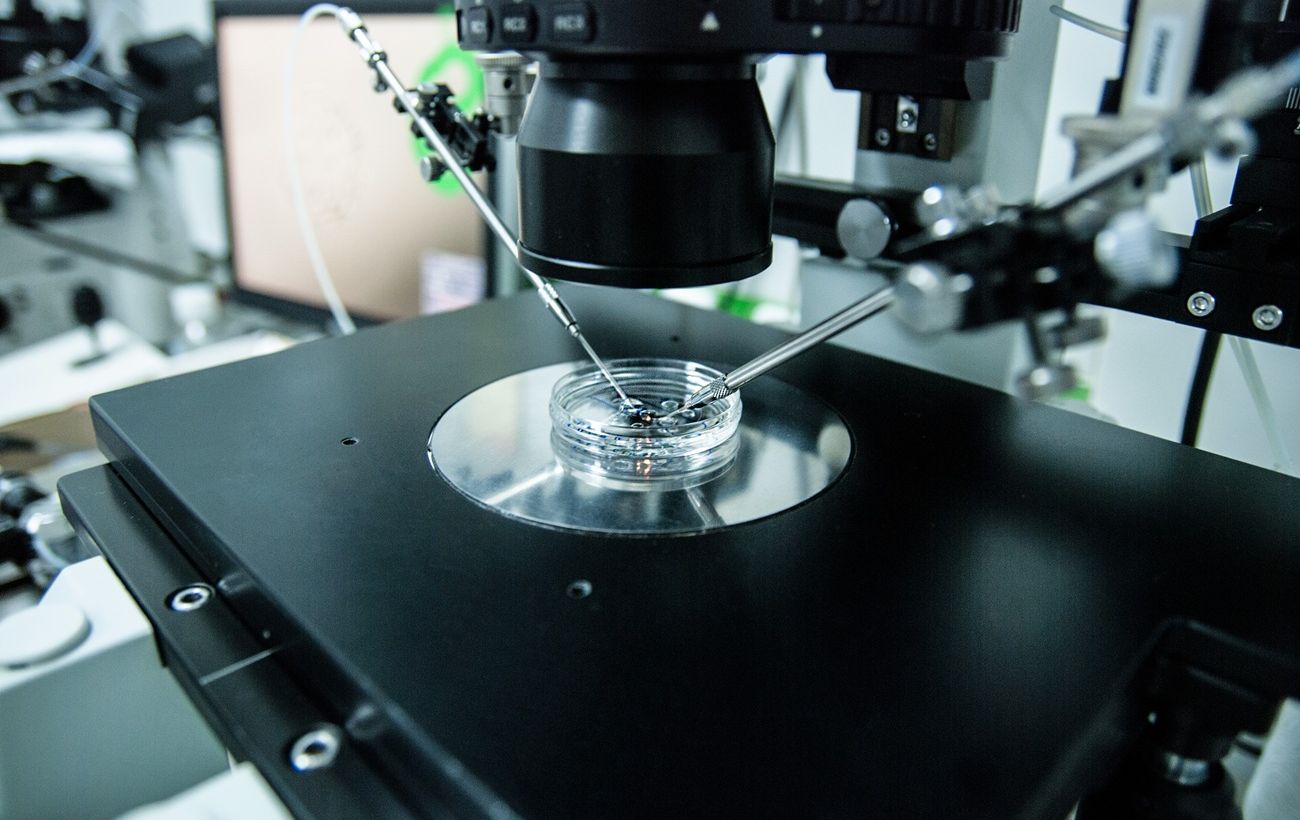 Лікуйте безпліддя за державний кошт: як зробити безкоштовне ЕКЗ в Інституті репродуктивної медицини Дахно