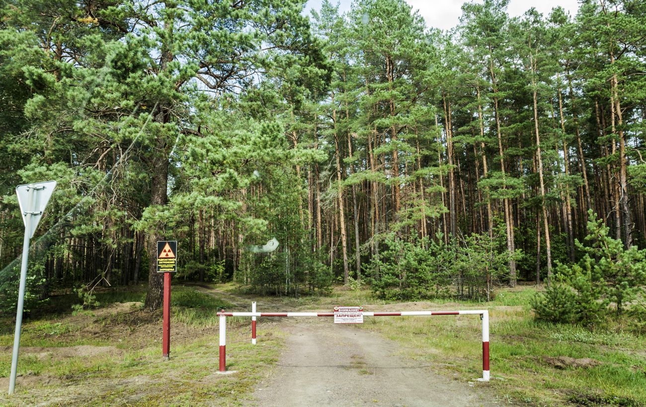 У Чорнобильському заповіднику оселився незвичний хижак (фото)